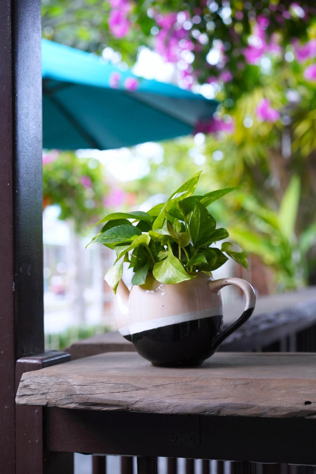 Blooms Boutique Village Hoi An Exterior foto