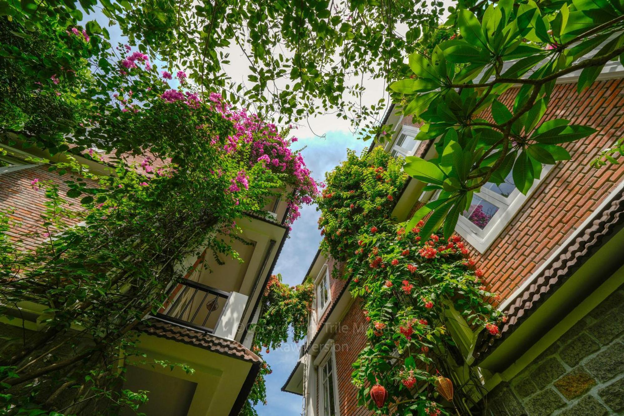Blooms Boutique Village Hoi An Exterior foto